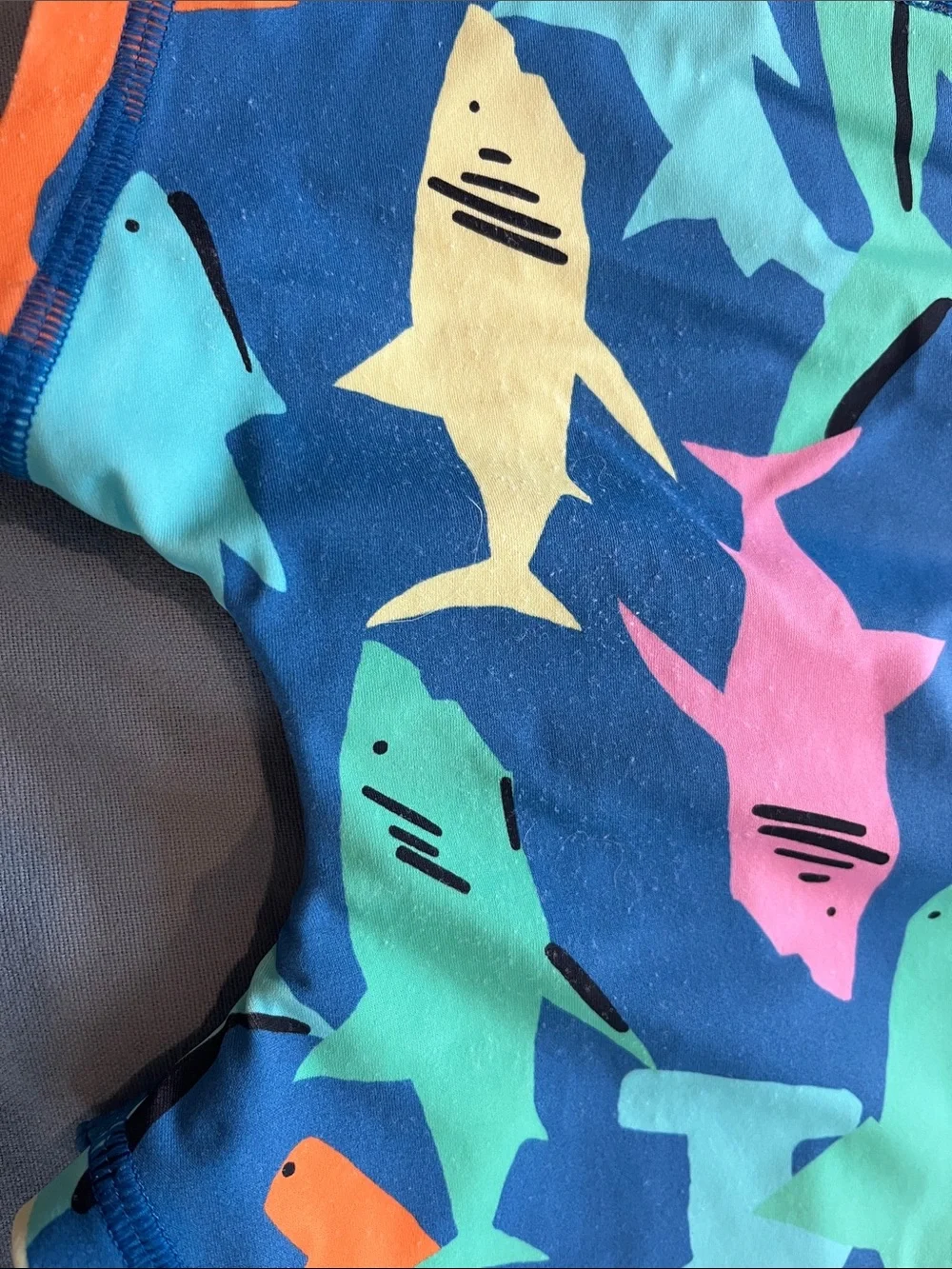 Hanna Andersson long sleeve